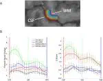 Comparison of BOLD and CBV using 3D EPI and 3D GRASE for cortical layer functional MRI at 7 T 
