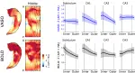 Functional imaging of hippocampal layers using VASO and BOLD on the Next Generation (NexGen) 7T scanner (preprint)