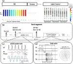 Next generation 7 Tesla arterial spin labeling with rotated spiral acquisition enables mesoscale resolution in 3D brain perfusion and functional MRI